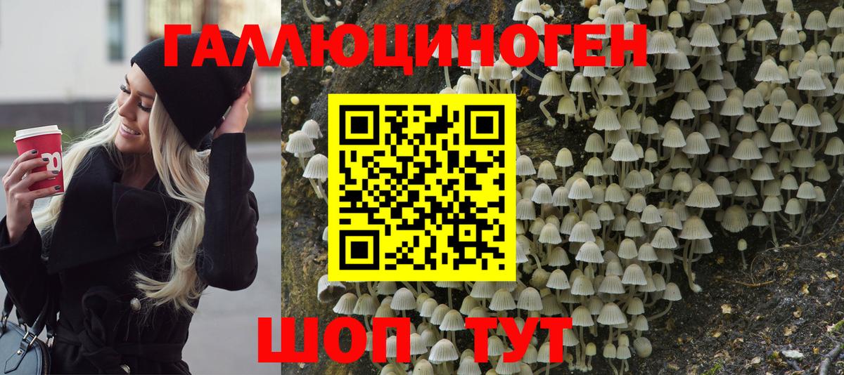 Псилоцибиновые грибы прущие грибы  Вход с VPN  Светлоград 
